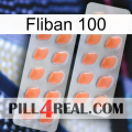 Fliban 100 27
